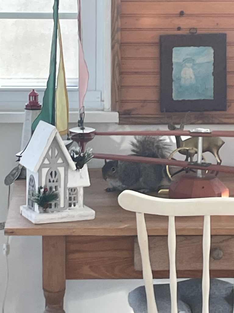 squirrel attic entry washington ct roof damage