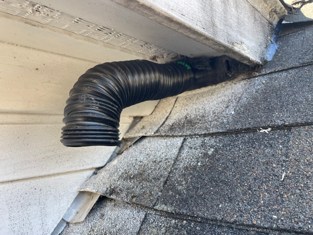 bat exclusion device kent ct roofline installation