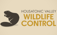 Cropped logodan.webp